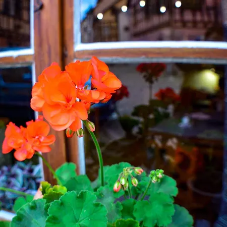 Appartement Chaud'vin