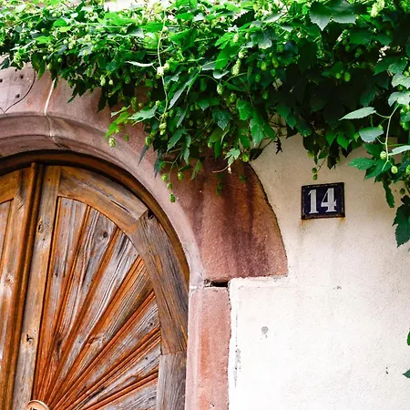Chaud'vin Apartment Kaysersberg-Vignoble